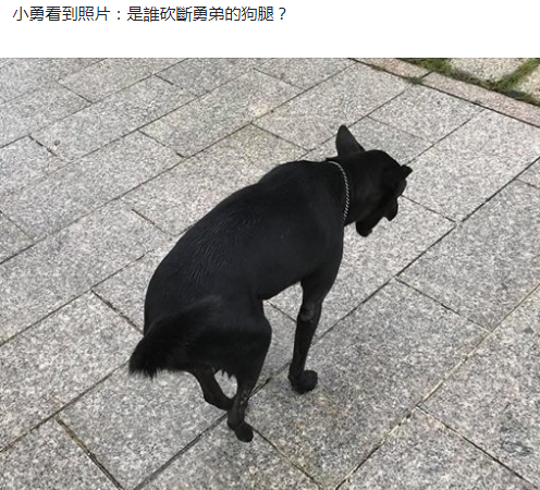 ⭐哪里卖斯洛文尼亚FB防封号去哪买质量好