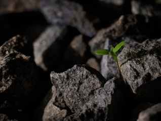 ⭐耐用的圭亚那照片墙token号怎么买到高保活纯手工号