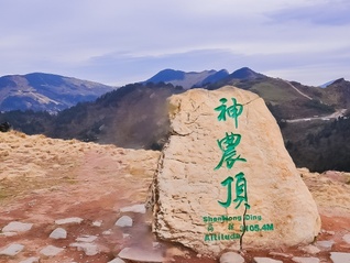 ⭐批量出售高质量的乌克兰Tiktok纯手工养号如何买到抗封号的