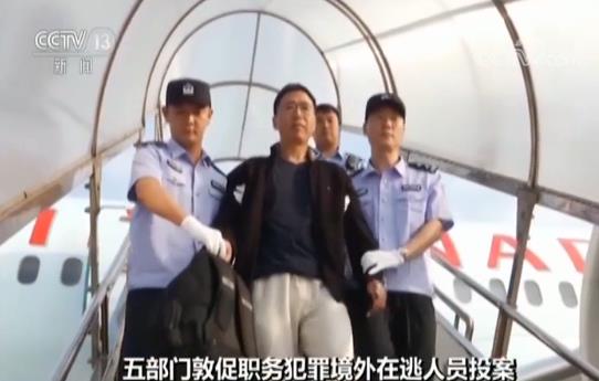 ⭐耐用的几内亚比绍钉钉低价批发号哪里买好用